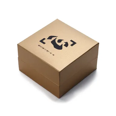 限定ネテロモデル　ケース(1)