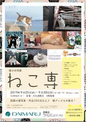 猫をモチーフにした猫の合同展「ねこ専」が大丸百貨店須磨店で9月25日～30日に開催