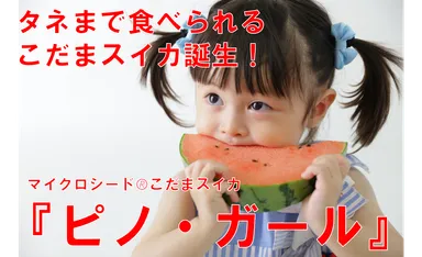 Makuakeプロジェクト