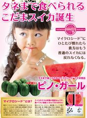 これは「西瓜の革命」だ！タネまで食べられる小玉スイカ「ピノ・ガール」の販売をMakuakeで10月9日開始