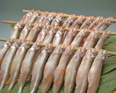 カネダイ大野商店