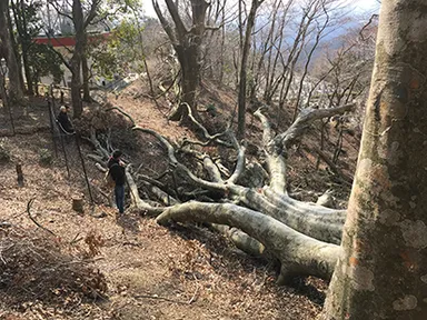 面向北方的方向，是回家的地方