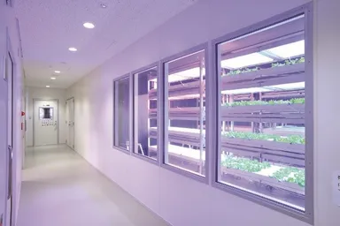 明治大学植物工場基盤技術研究センター内