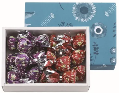 ペパン ドゥ カカオ 16個入り　1,000円（税別）