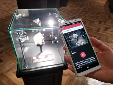 撮影協力：鹿児島県立博物館