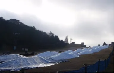 造雪開始から1か月後の様子