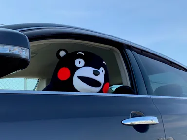 (C)2010熊本県くまモン #K31595