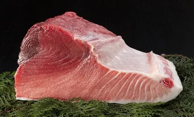 クロマグロ　画像