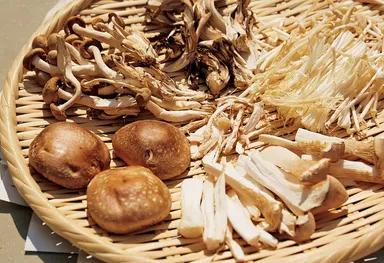 ちょい干しきのこ