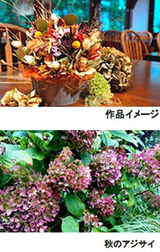 六甲オルゴールミュージアム「ミュージアムガーデンで楽しむ、
フラワーアレンジメントとランチ」
2019年10月23日(水)開催 予約受付中