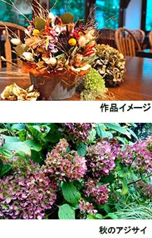 上）作品イメージ、下）秋のアジサイ