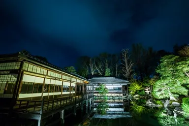 渉成園ライトアップ2