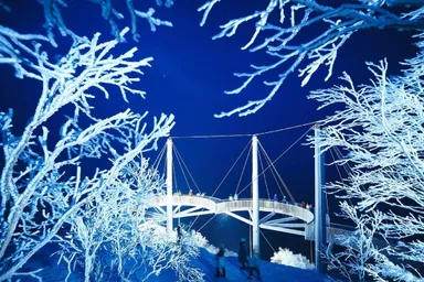 【トマム】霧氷ライトアップ イメージ