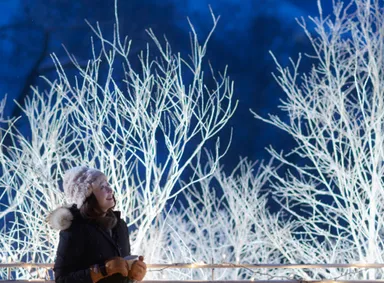 【トマム】霧氷ライトアップ 女性イメージ