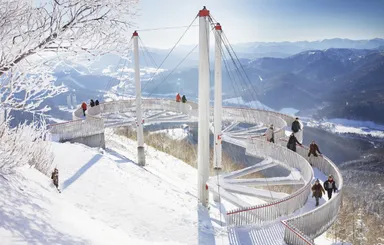 【トマム】霧氷テラス　Cloud Walk（クラウドウォーク）