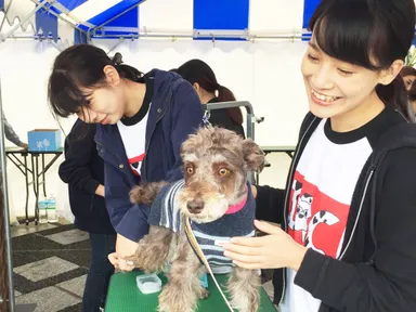 アロマブラッシング