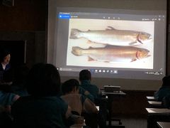 富山の小学生がメバルを校内養殖！“陸上養殖”プロジェクト「お魚受け入れ式」を開催