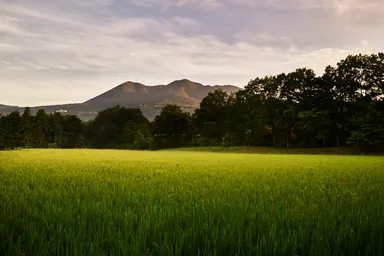 【リゾナーレ那須】田んぼ2