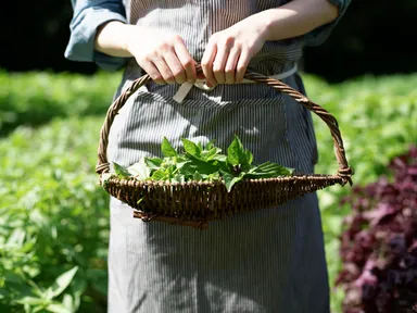 【リゾナーレ那須】アグリガーデン3