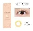 Coral Brown 商品