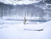 【奥入瀬渓流ホテル】冬の八甲田　大自然迷路