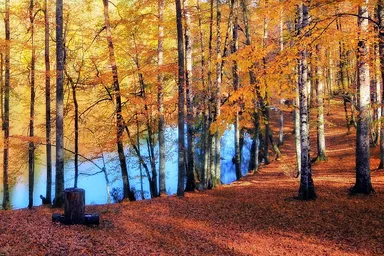 イェディギョルレル国立公園1