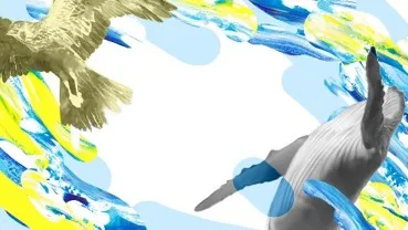 写真フレーム（イメージ）】