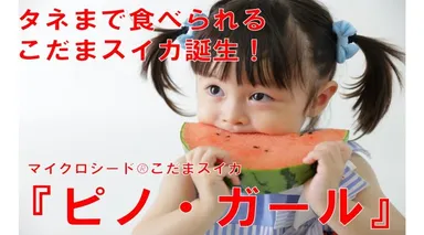 Makuakeプロジェクト