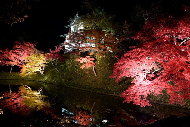 桜約2 600本と楓約1 000本の紅葉をさくらの名所 弘前城で楽しむ 弘前城 菊と紅葉まつり を10月18日から開催 弘前市のプレスリリース