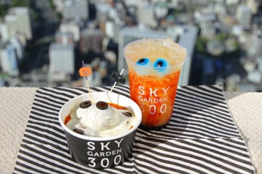 HALLOWEEN in HARUKAS
ハルカス300(展望台)ハロウィンナイト
を楽しもう!
「仮装」と「合言葉」で展望台入場料が500円に!