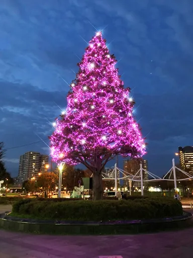 ピンクのシンボルツリー(イメージ)