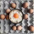 日本一こだわり卵の卵かけご飯