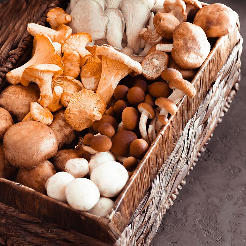 ダイエットと健康に関する最新レポートをmicrodiet.netにて公開　
『きのこはダイエットと腸活がまとめてできる超優秀な食材』