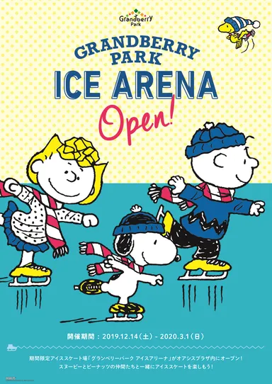 グランベリーパーク　アイスアリーナ