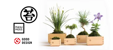 「MASUMOSS」を展開するグリーンズグリーンのショールームも兼ねる