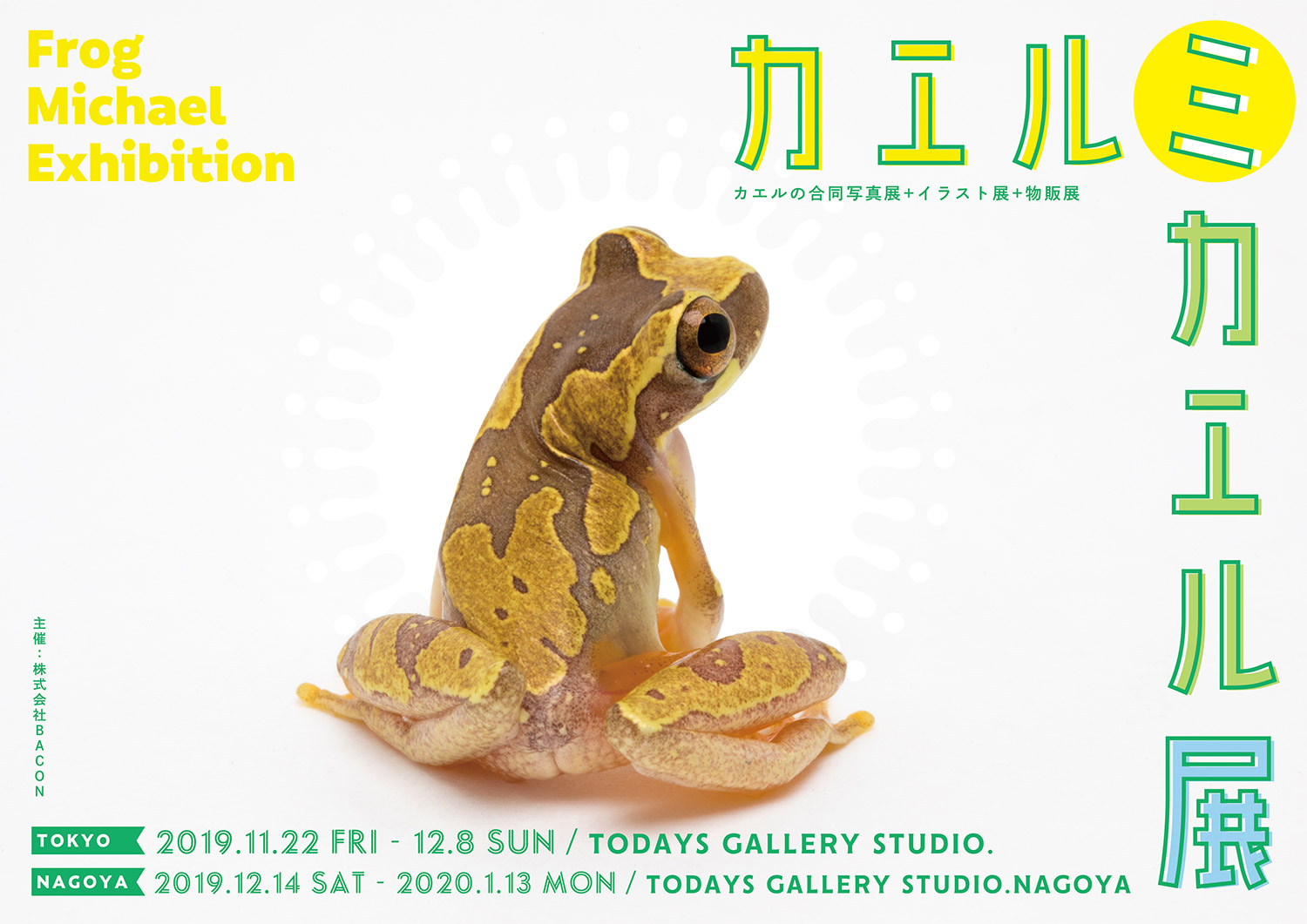 リアルなカエルの美しさに注目した カエルミカエル展 が11 22 12 8に東京で開催 ちょいグロなカエル ブースも登場 株式会社baconのプレスリリース リアルなカエルの美しさに注目した カエルミカエル展 が11 22 12 8に東京で開催 ちょいグロなカエル ブースも登場 株式会社baconのプレスリリース