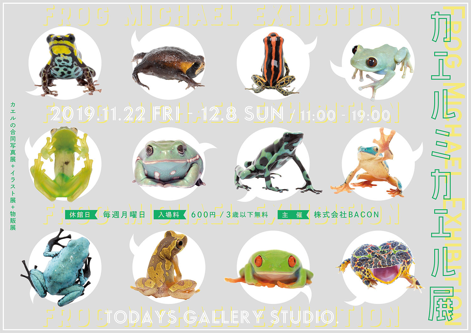 リアルなカエルの美しさに注目した カエルミカエル展 が11 22 12 8に東京で開催 ちょいグロなカエル ブースも登場 株式会社baconのプレスリリース