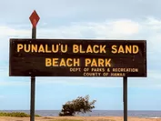 Black sand beach(3)