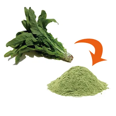 ちしゃとうの葉100％の粉末です