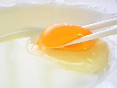 ブランド卵「桜卵」 2