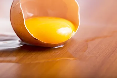 『KIMIだけにカステラ』3