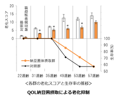 “殺菌済み”の納豆菌素材『QOL納豆菌』を開発・販売開始　食品の製造ラインの汚染リスク減少により幅広い加工条件に適応