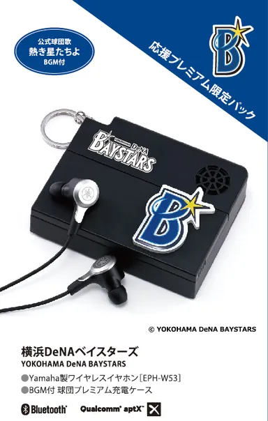 横浜DeNAベイスターズモデル　パッケージ