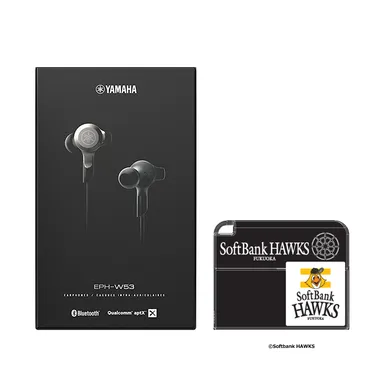 福岡ソフトバンクホークスモデル