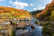 【アゴダ】アゴダが注目する「美しい紅葉を楽しむ国内の旅行先5選」～写真撮影に最適な日本の紅葉ベストスポット～