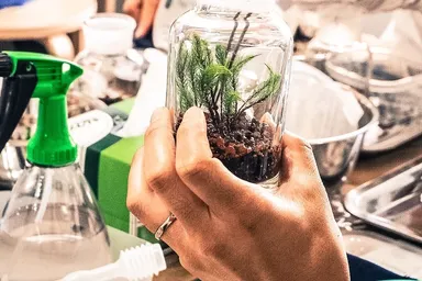 ワークショップ苔のテラリウム