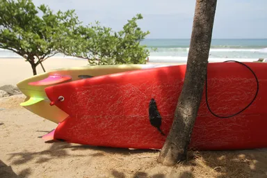 シュガー＆ピナコ