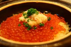 料理6