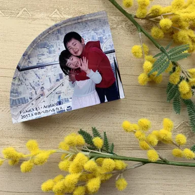 カスタムデザイン盾　イメージ(4)