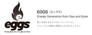 災害時の電源確保、高まるBCPニーズに低コストで対応　「LPガス＋太陽光ハイブリッド発電システム(EGGS)」を商品化